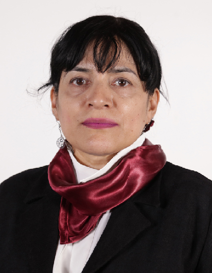 imagen de Secretarías DALIA  RAMÍREZ RAMOS