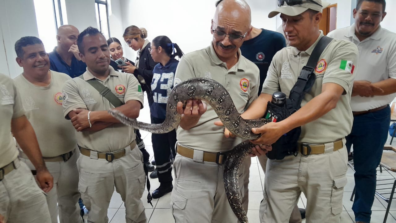 IMPARTEN CURSO DE IDENTIFICACIÓN, MANEJO, CAPTURA DE ANIMALES PONZOÑOSOS