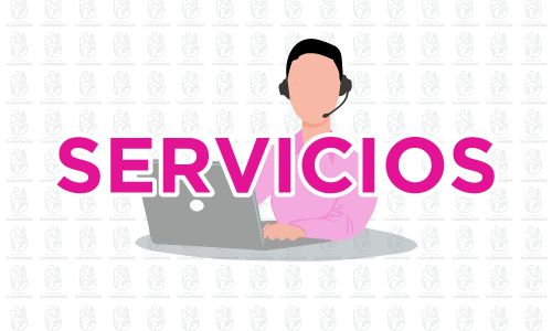 Servicios