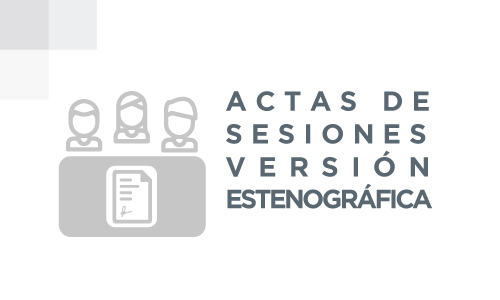 Actas de sesiones versión estenográfica