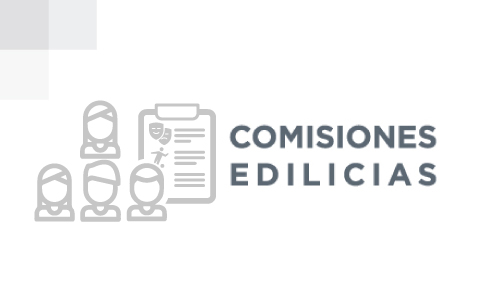 Comisiones edilicias