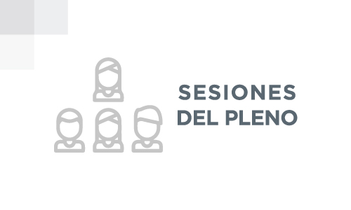 Sesiones del pleno